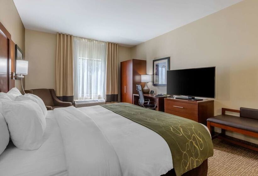 스위트, Comfort Suites Johnson City Near University