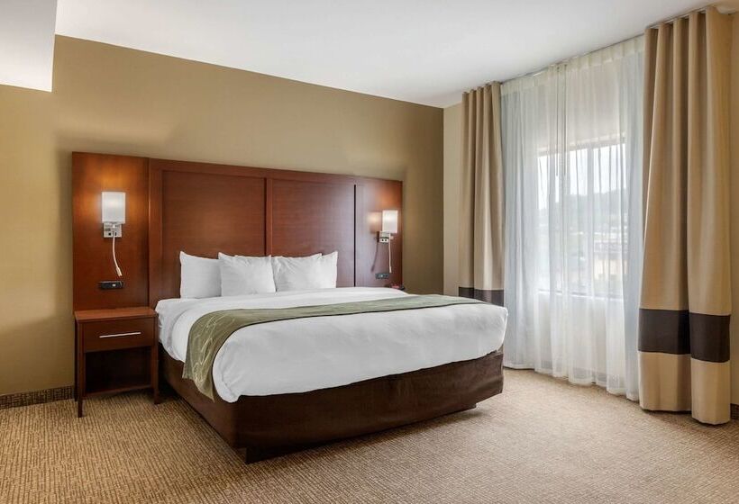 스위트, Comfort Suites Johnson City Near University