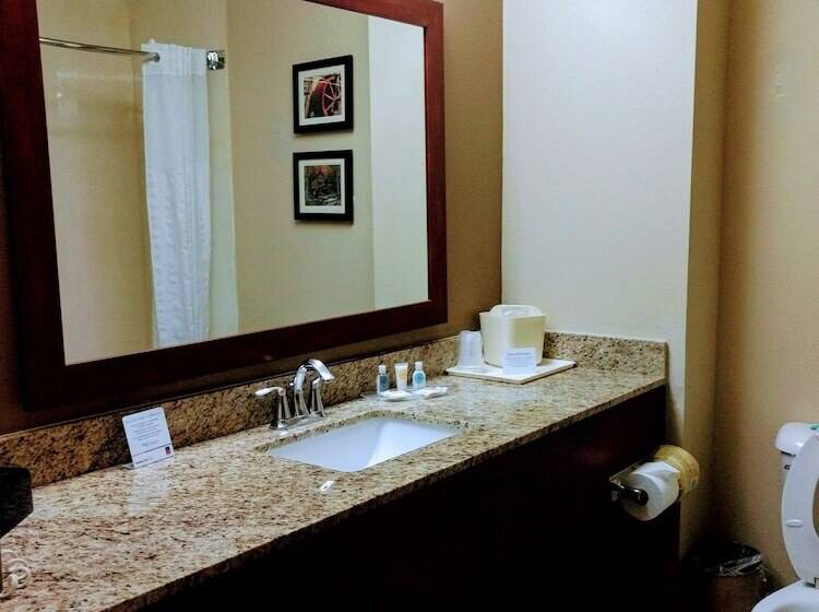 스위트, Comfort Suites Johnson City Near University