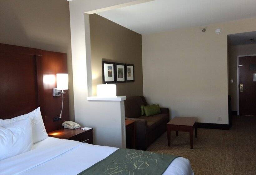 스위트, Comfort Suites Johnson City Near University