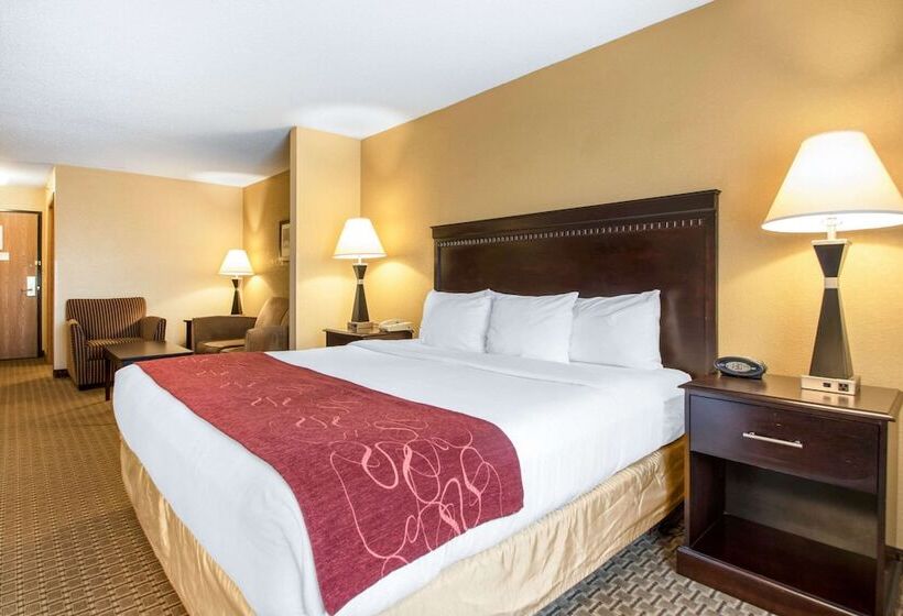 Люкс, Comfort Suites Wisconsin Dells Area