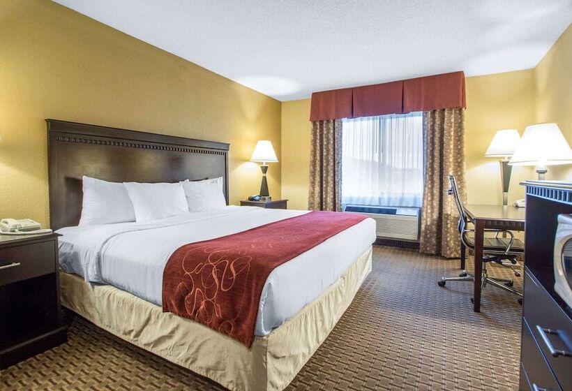 Люкс, Comfort Suites Wisconsin Dells Area