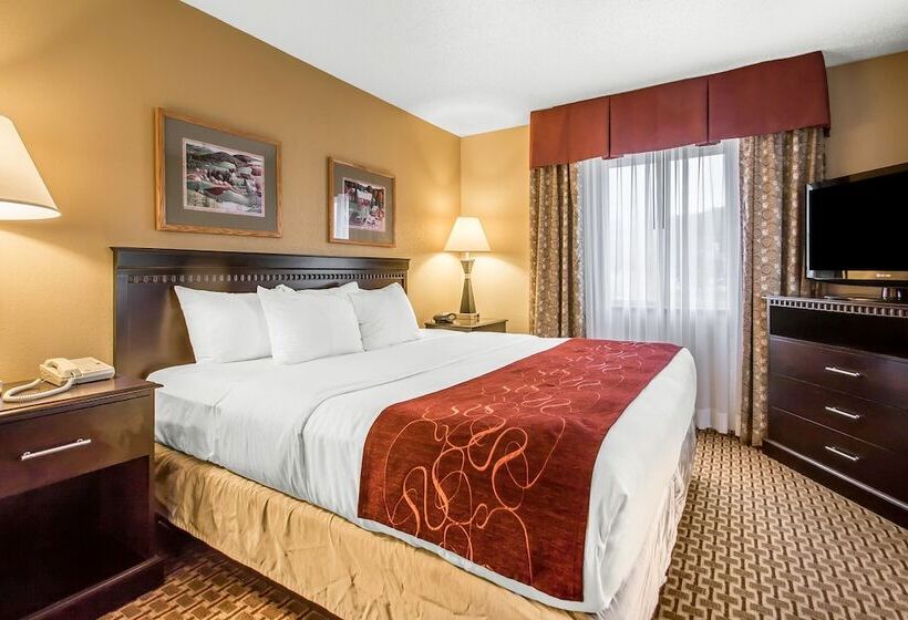 Люкс, Comfort Suites Wisconsin Dells Area