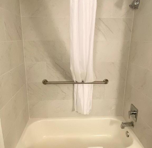 带大床的套房, Country Inn & Suites By Radisson, Jackson, Tn