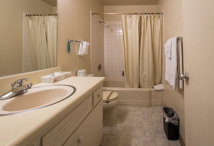 Executive Suite, Coral Reef Inn & Condo Suites