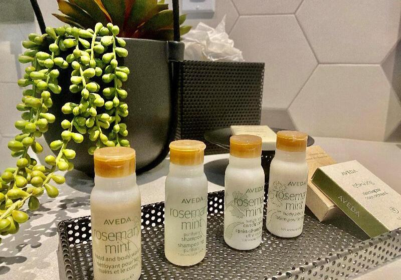 프리미엄 룸, Indigo Miami Brickell By Ihg