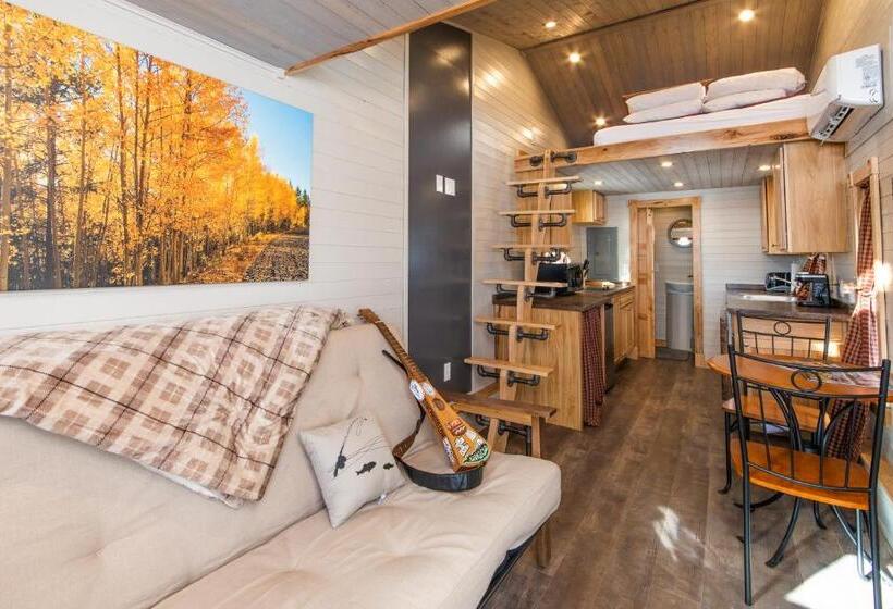 Дом 1 Спальня, Tiny House Leadville