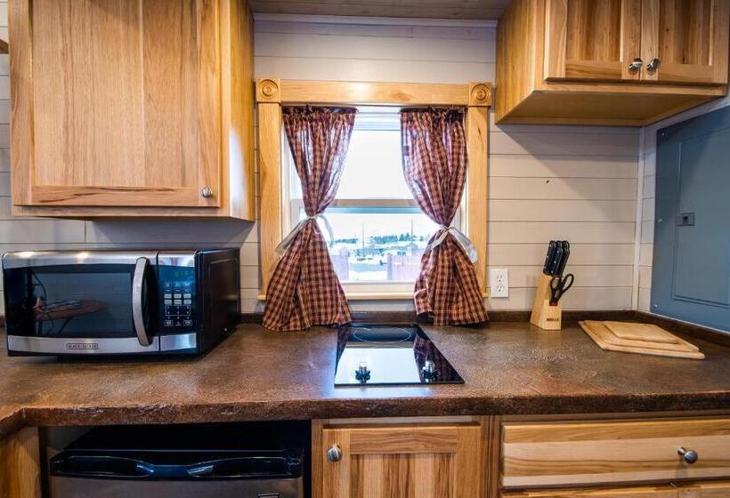 Дом 1 Спальня, Tiny House Leadville
