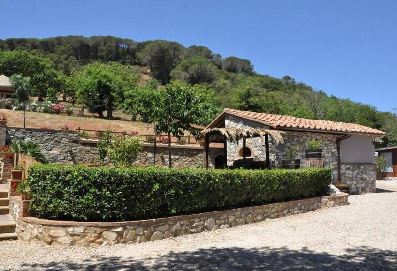 Люкс, Il Castagno Toscana