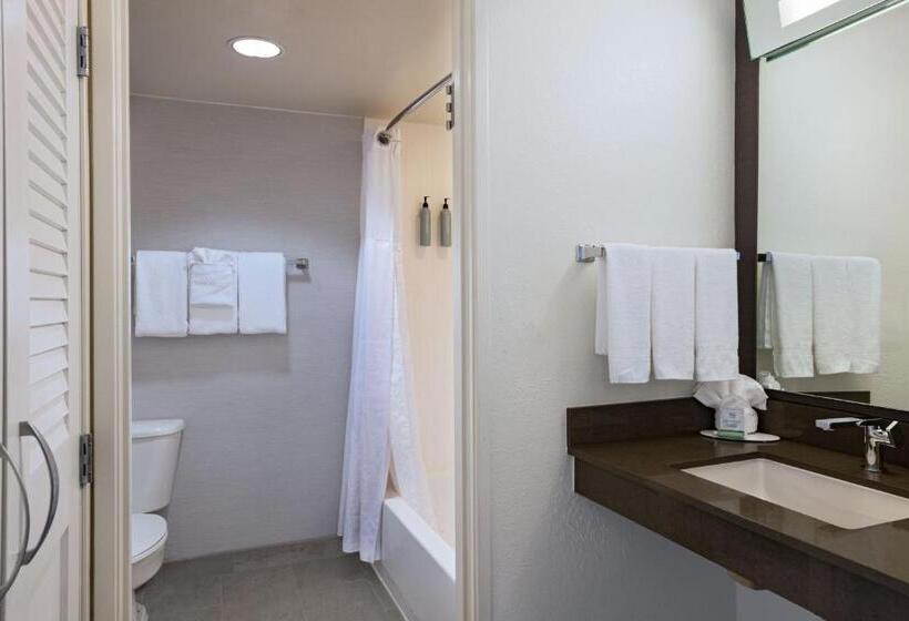 اتاق استاندارد با تخت بزرگ, Courtyard By Marriott Austin The Domain Area