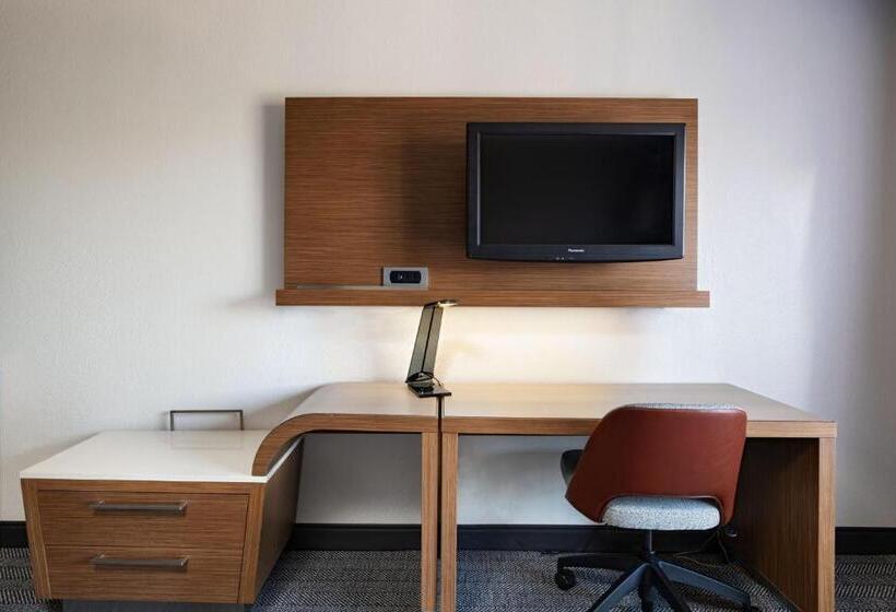 اتاق لوکس با تخت بزرگ, Courtyard By Marriott Austin The Domain Area
