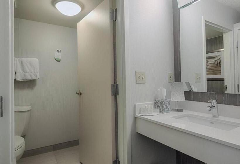 Номер Стандарт Кровать Кинг Адаптированный для Инвалидов, Courtyard By Marriott Dallas Dfw Airport North/irving
