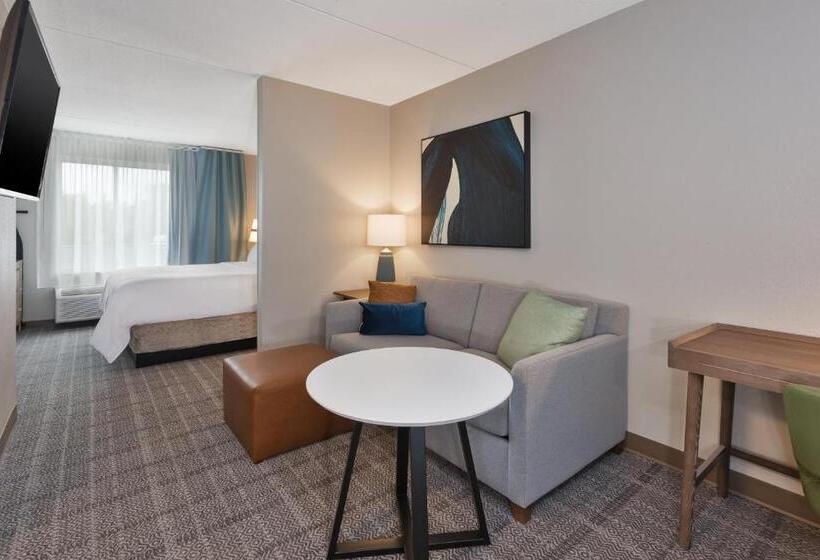 Люкс Адаптированный для Инвалидов, Staybridge Suites Pittsburgh Airport, An Ihg