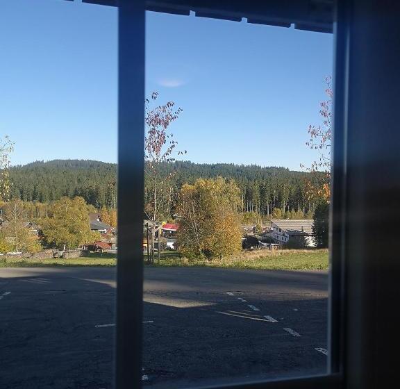 דירת חדר, Schwarzwald-chalet Feldberg