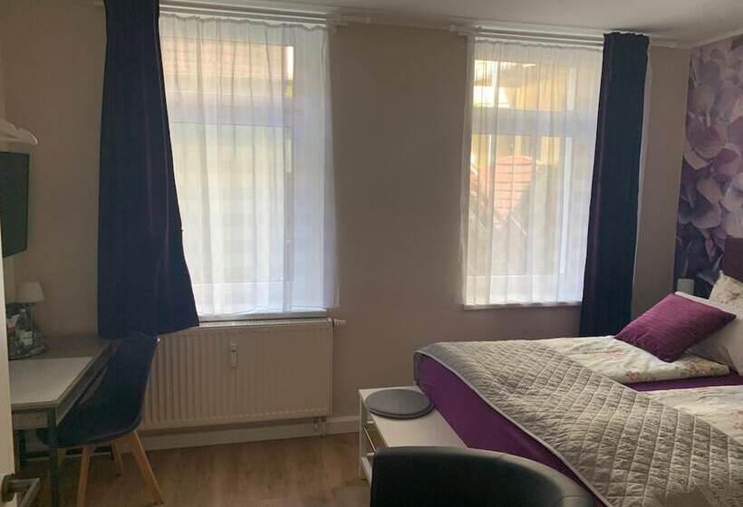 Номер Стандарт, Pension Triebischtal
