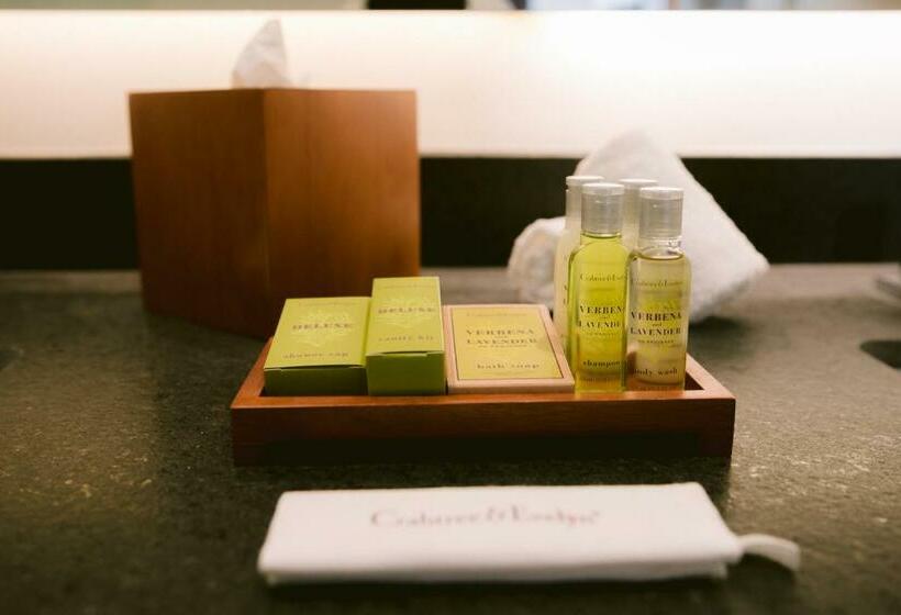 デラックスルーム, Doubletree By Hilton Celaya