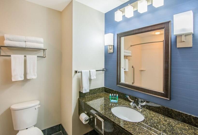 Номер Стандарт, Holiday Inn Express Cleveland Airport   Brook Park, An Ihg