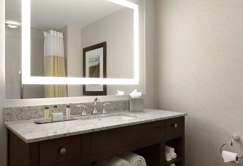 디럭스 룸, Doubletree By Hilton Hotel Boston Bayside
