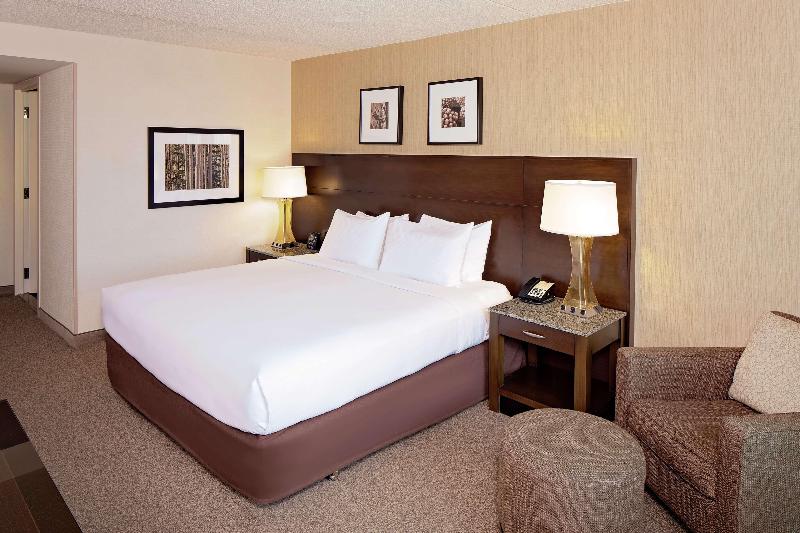 스탠다드 룸 킹사이즈 침대, Doubletree By Hilton Hotel Boston Bayside