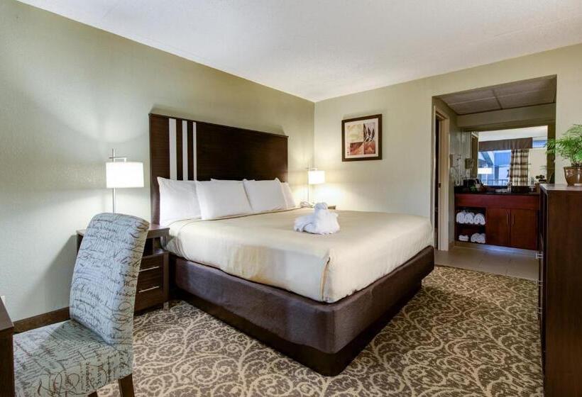 غرفة قياسية سرير كينج, Glenstone Lodge