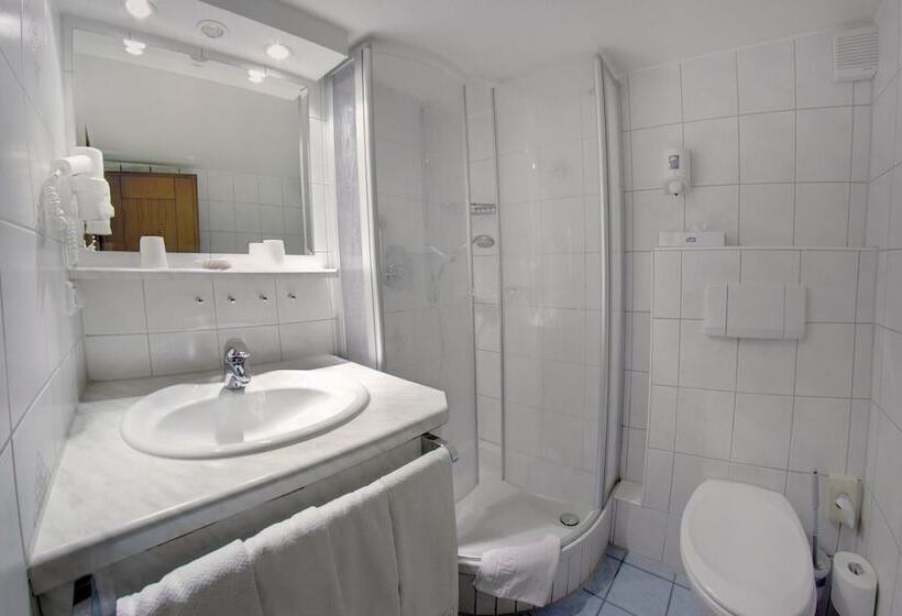 Номер Стандарт, Ferienhotel Starennest