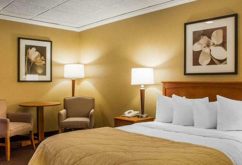 Номер Стандарт Адаптированный для Инвалидов, Clarion Hotel & Suites Riverfront