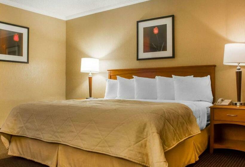 Люкс Кровать Кинг, Clarion Hotel & Suites Riverfront