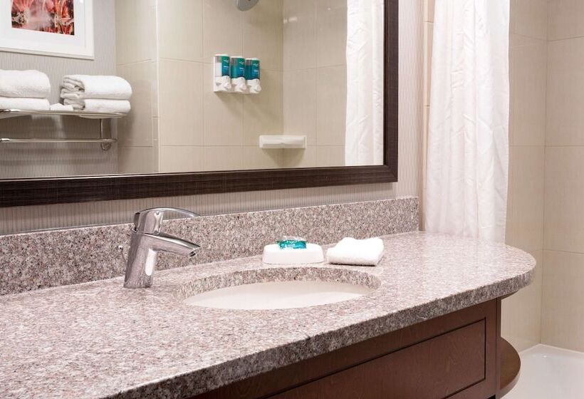 障害者適応デラックスルーム, Drury Inn And Suites St Louis Union Station