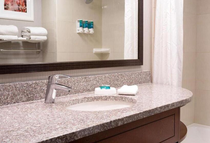 キングサイズベッドのスイートルーム, Drury Inn And Suites St Louis Union Station