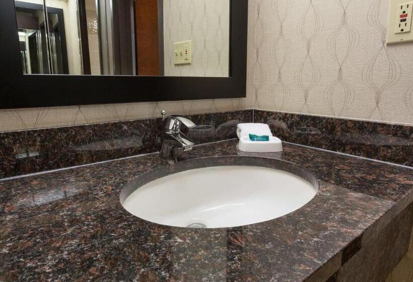 Номер Deluxe Адаптированный для Инвалидов, Heritage Inn Suites Houston Sugar Land, Trademark By Wyndham