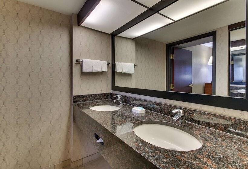 Номер Deluxe Адаптированный для Инвалидов, Heritage Inn Suites Houston Sugar Land, Trademark By Wyndham