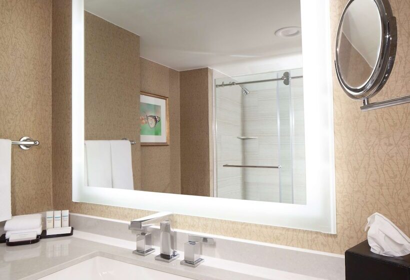 ２ベッドスイートルーム, Embassy Suites By Hilton Dallas Near The Galleria