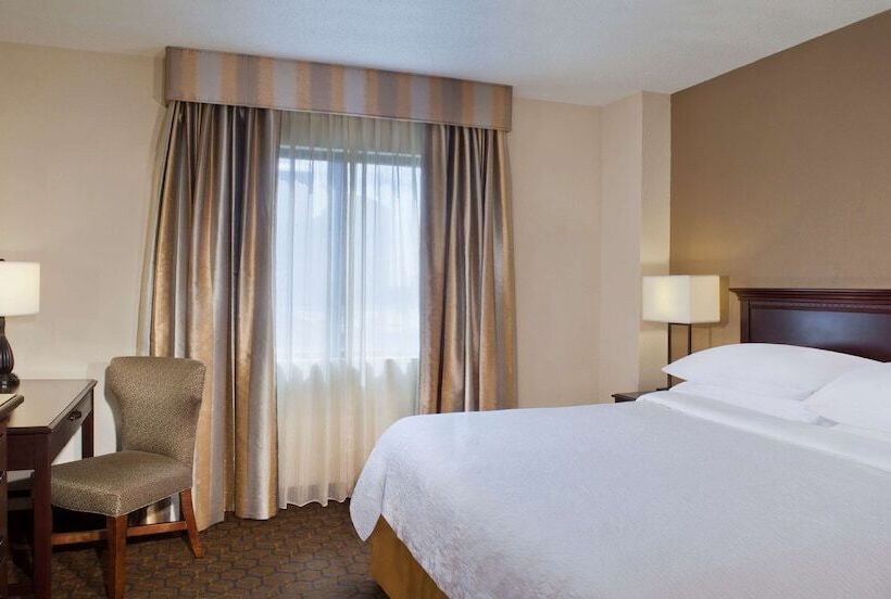 ２ベッドスイートルーム, Embassy Suites By Hilton Dallas Near The Galleria