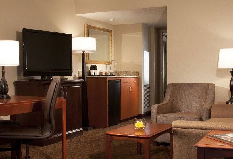 プレミアムスイート２ベッドルーム, Embassy Suites By Hilton Dallas Near The Galleria