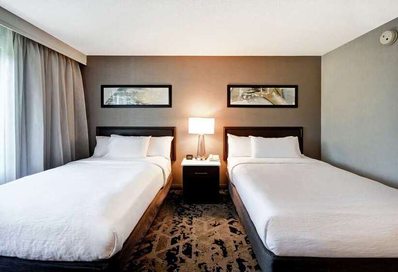 プレミアムスイート, Embassy Suites By Hilton Dallas Near The Galleria