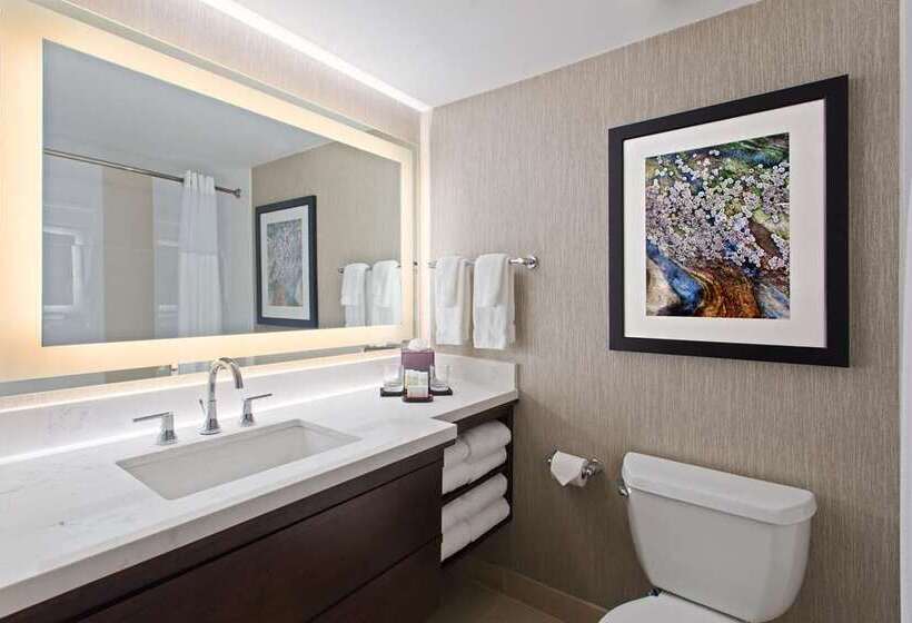 سوییت, Embassy Suites By Hilton Las Vegas