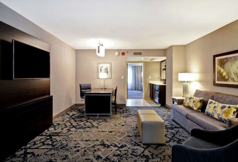 Номер Стандарт 2 Двуспальные Кровати, Embassy Suites By Hilton Raleigh Durham Research Triangle