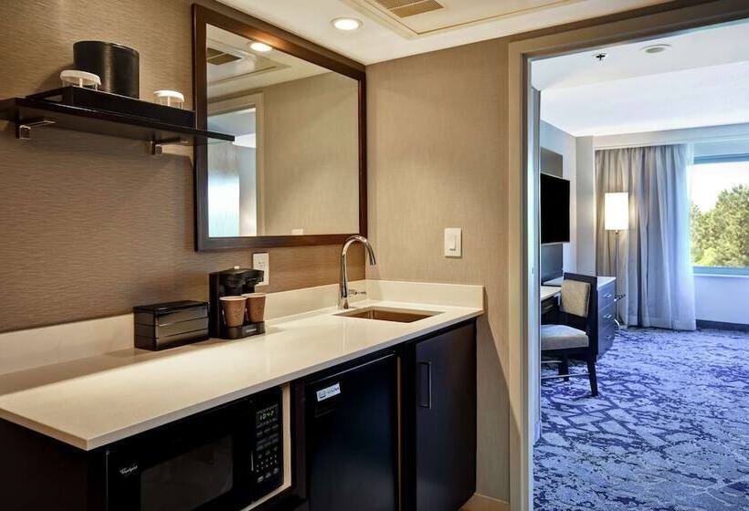 Люкс Адаптированный для Инвалидов, Embassy Suites By Hilton Raleigh Durham Research Triangle
