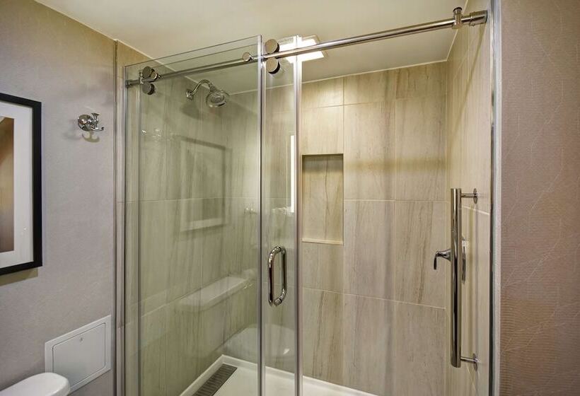 Люкс Премиум, Embassy Suites By Hilton Raleigh Durham Research Triangle