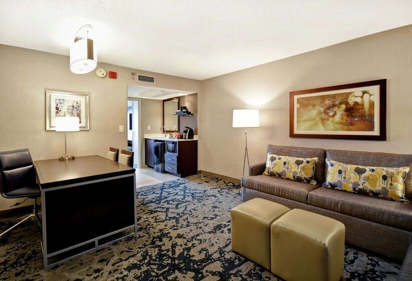 Люкс Премиум, Embassy Suites By Hilton Raleigh Durham Research Triangle