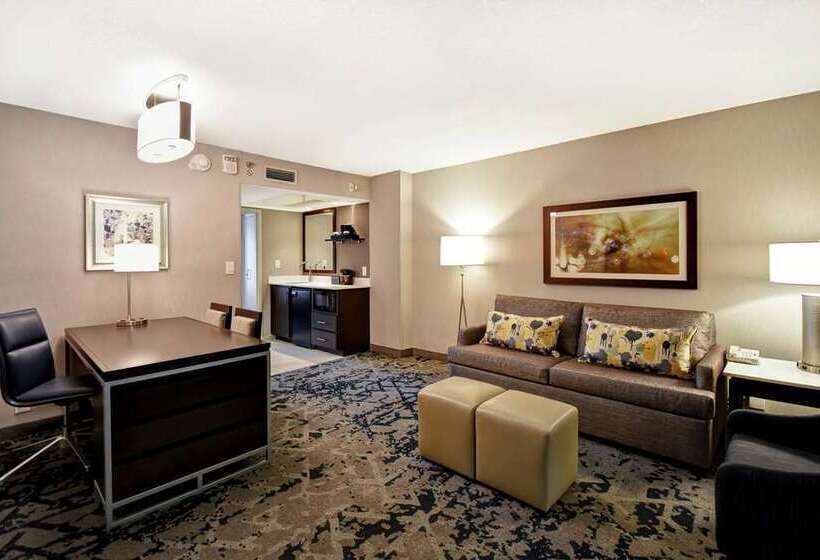 Номер Стандарт, Embassy Suites By Hilton Raleigh Durham Research Triangle