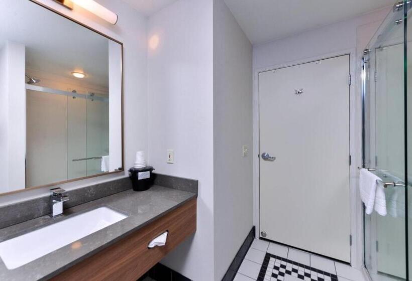 스탠다드 룸 킹사이즈 침대, Fairfield Inn And Suites Beloit