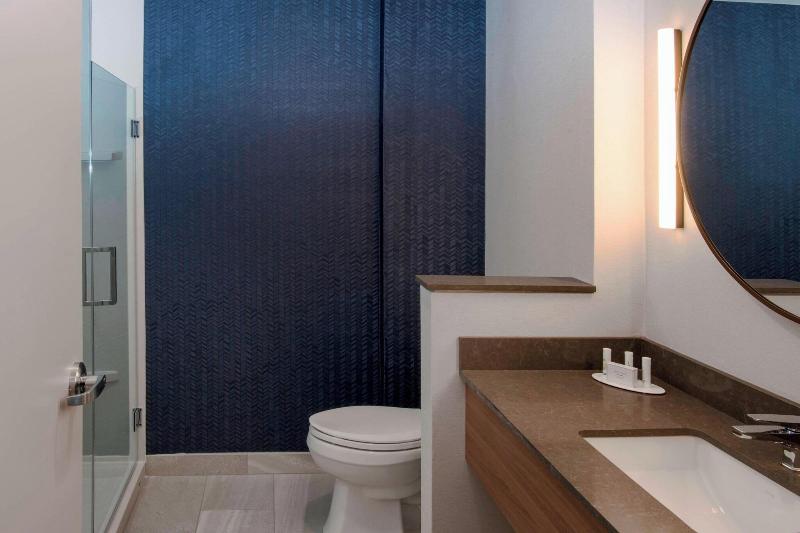 Suite Pat King, Fairfield By Marriott Inn & Suites Dallas Dfw Airport North, Irving