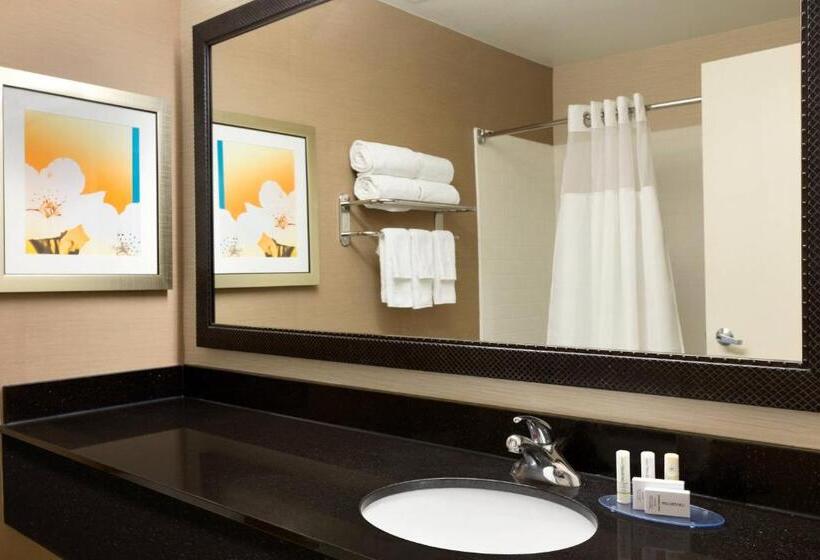 Стандартный Номер Кровать Кинг, Fairfield Inn & Suites Dallas Mesquite
