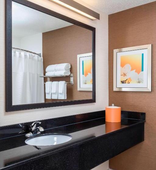 Стандартный Номер Кровать Кинг, Fairfield Inn & Suites Springfield