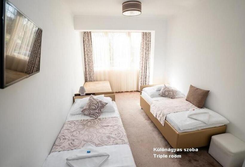 Номер Стандарт, írisz