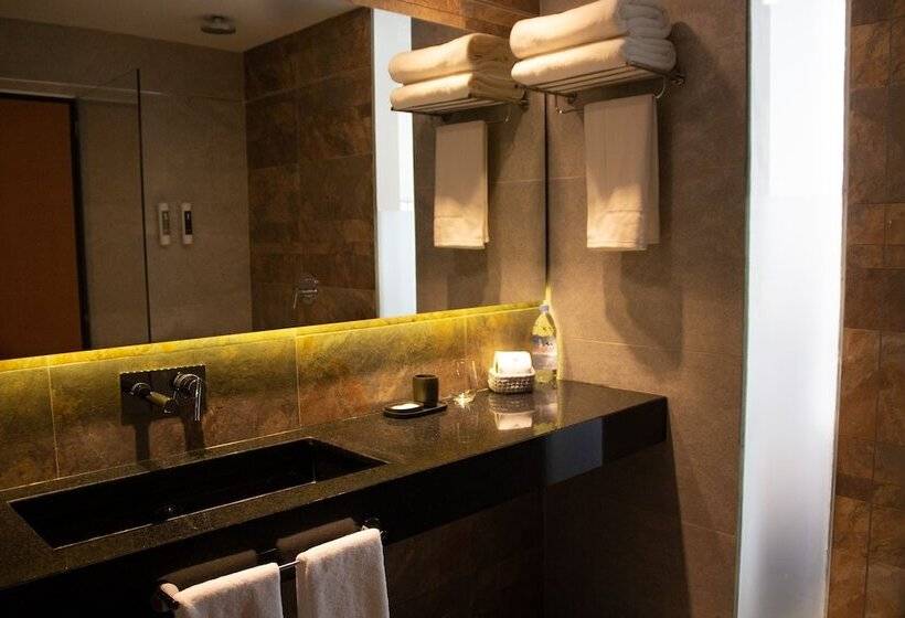 Номер Стандарт Трехместный, O2 Hotel Iguazu