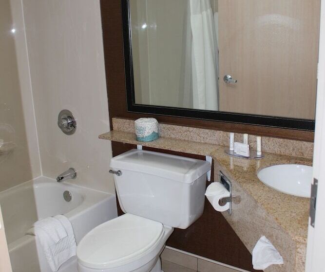 Номер Стандарт 2 Двуспальные Кровати, Fairfield Inn & Suites Kansas City Liberty