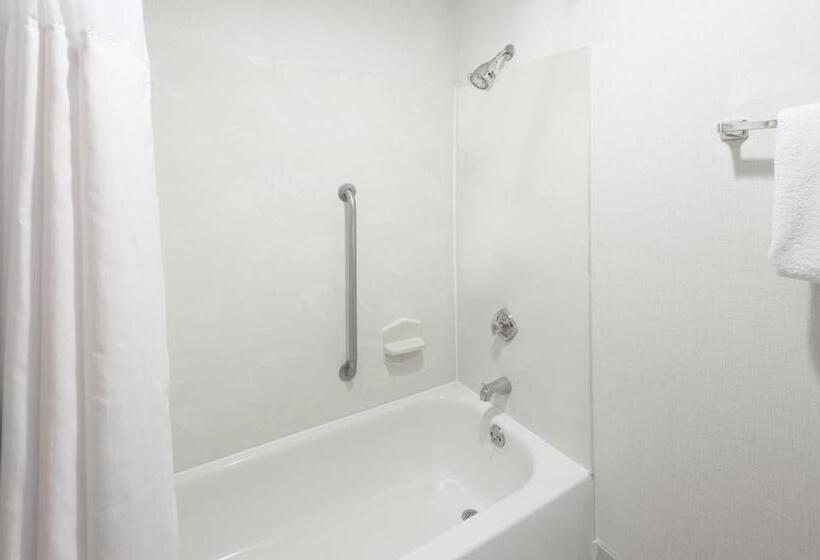 스탠다드 룸 킹사이즈 침대, Wingate By Wyndham Shreveport Airport