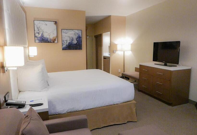 Deluxe-huone Soveltuu Liikuntarajoitteisille, Wyndham Anaheim